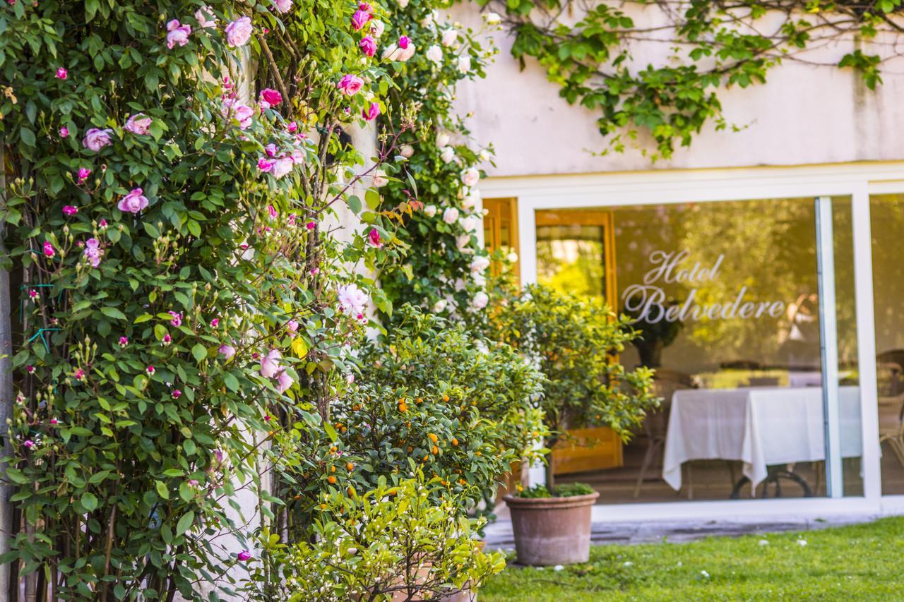 Hotel Belvedere Торри-дель-Бенако Экстерьер фото
